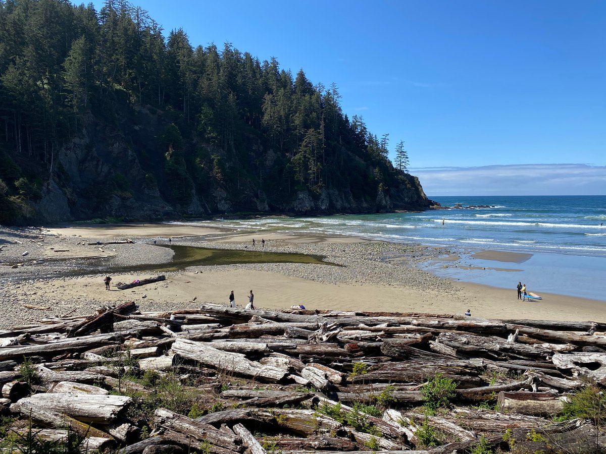 345607449_259972693111841_6761348382406855418_n