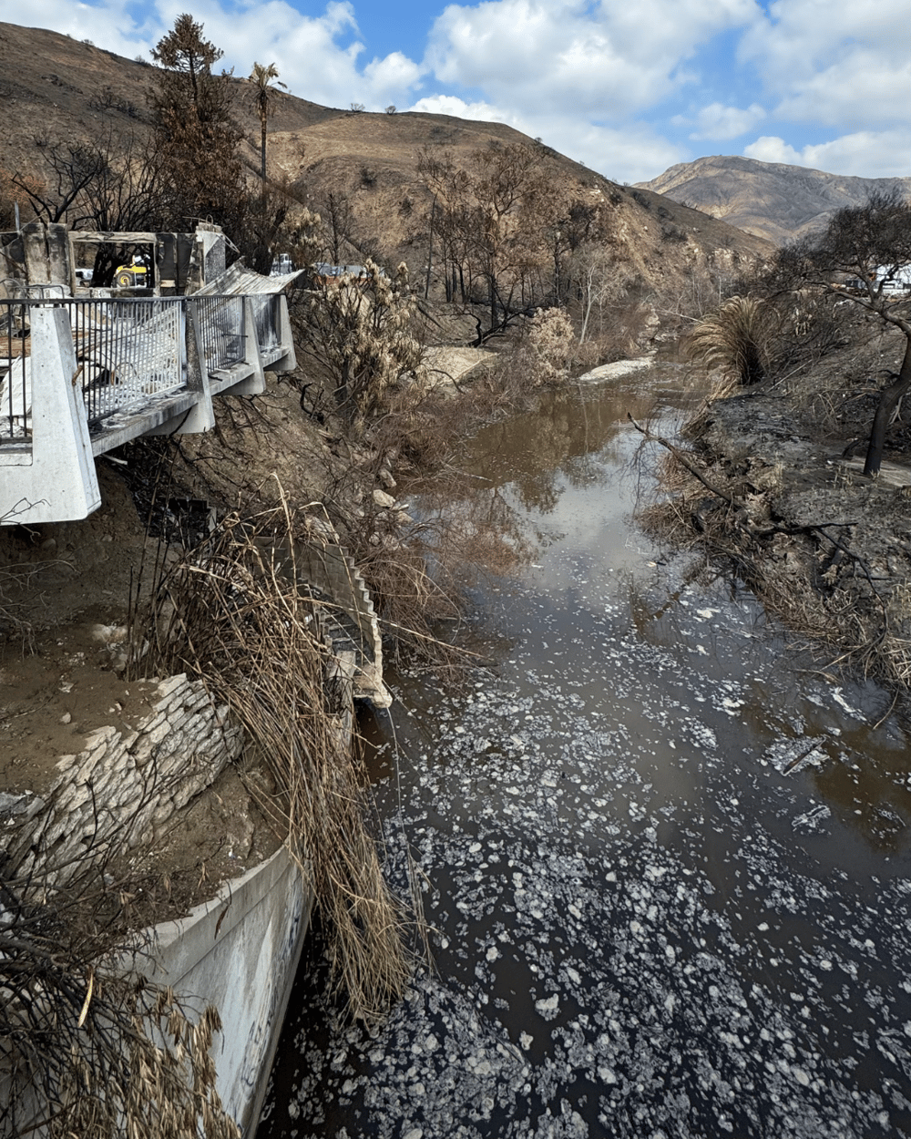 Pollution in the waters upstream from the beach.