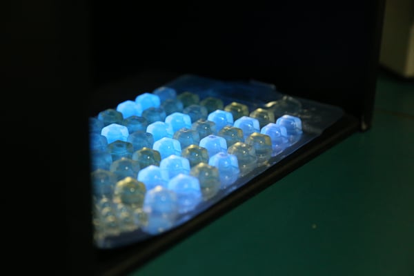 Water samples under UV light. 