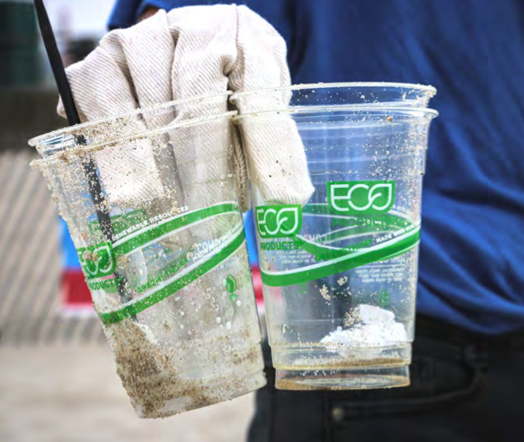 Bioplastic Cup
