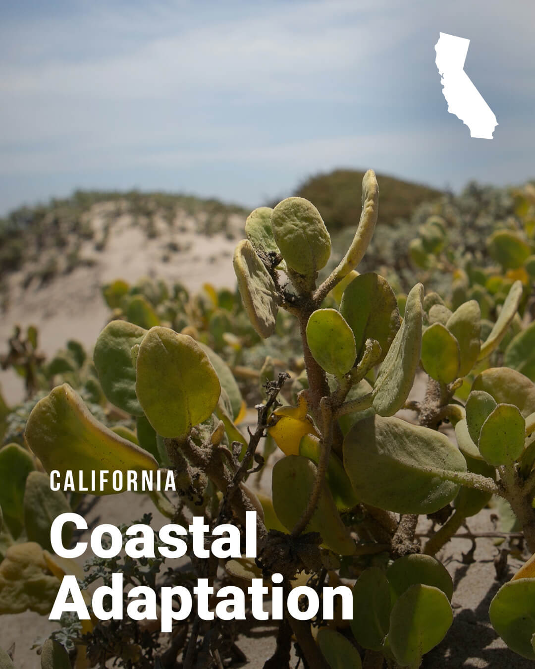 CA-Coast_NBS-Slider-2