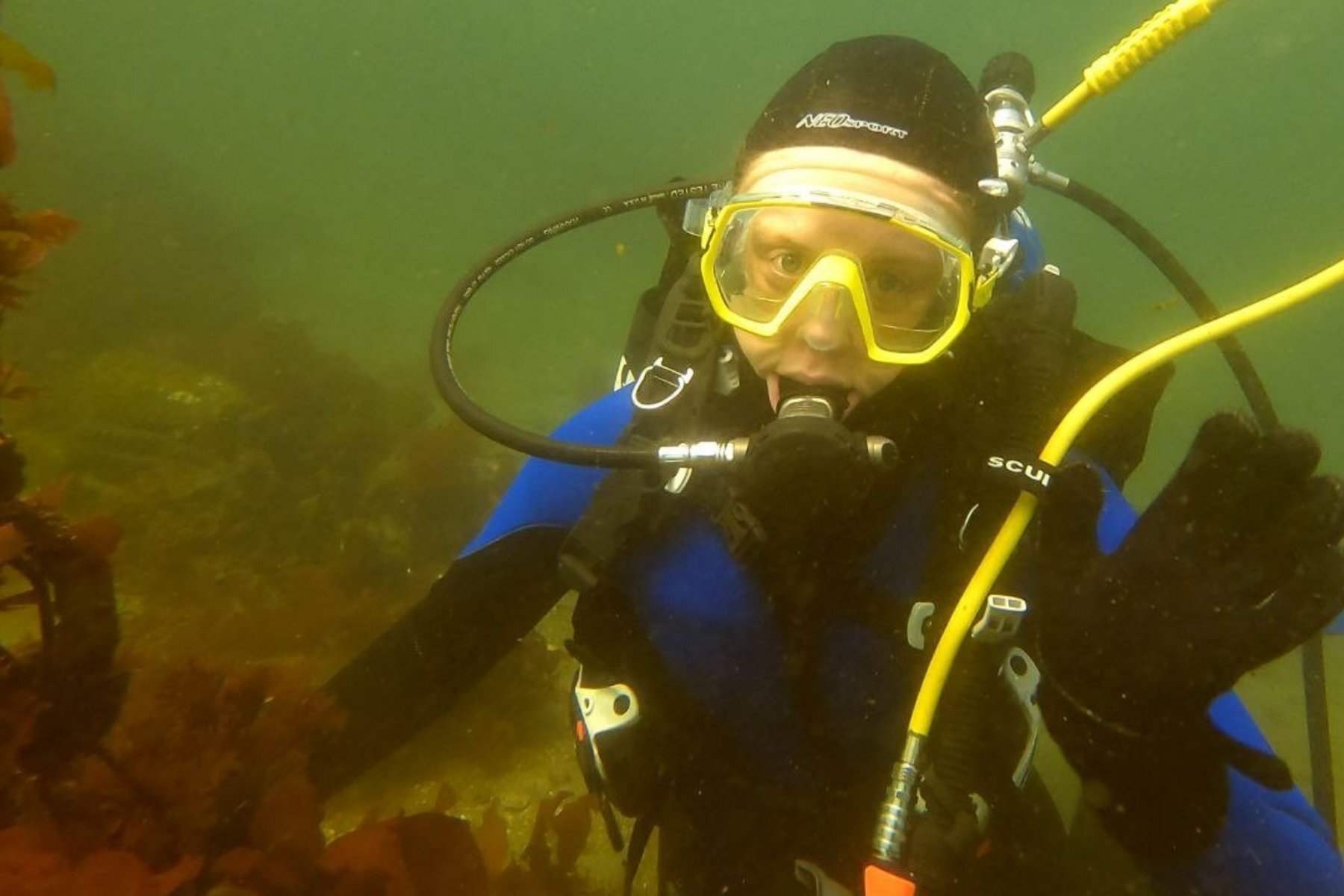 Activist Spotlight: Diana Haass With the Seattle Chapter
