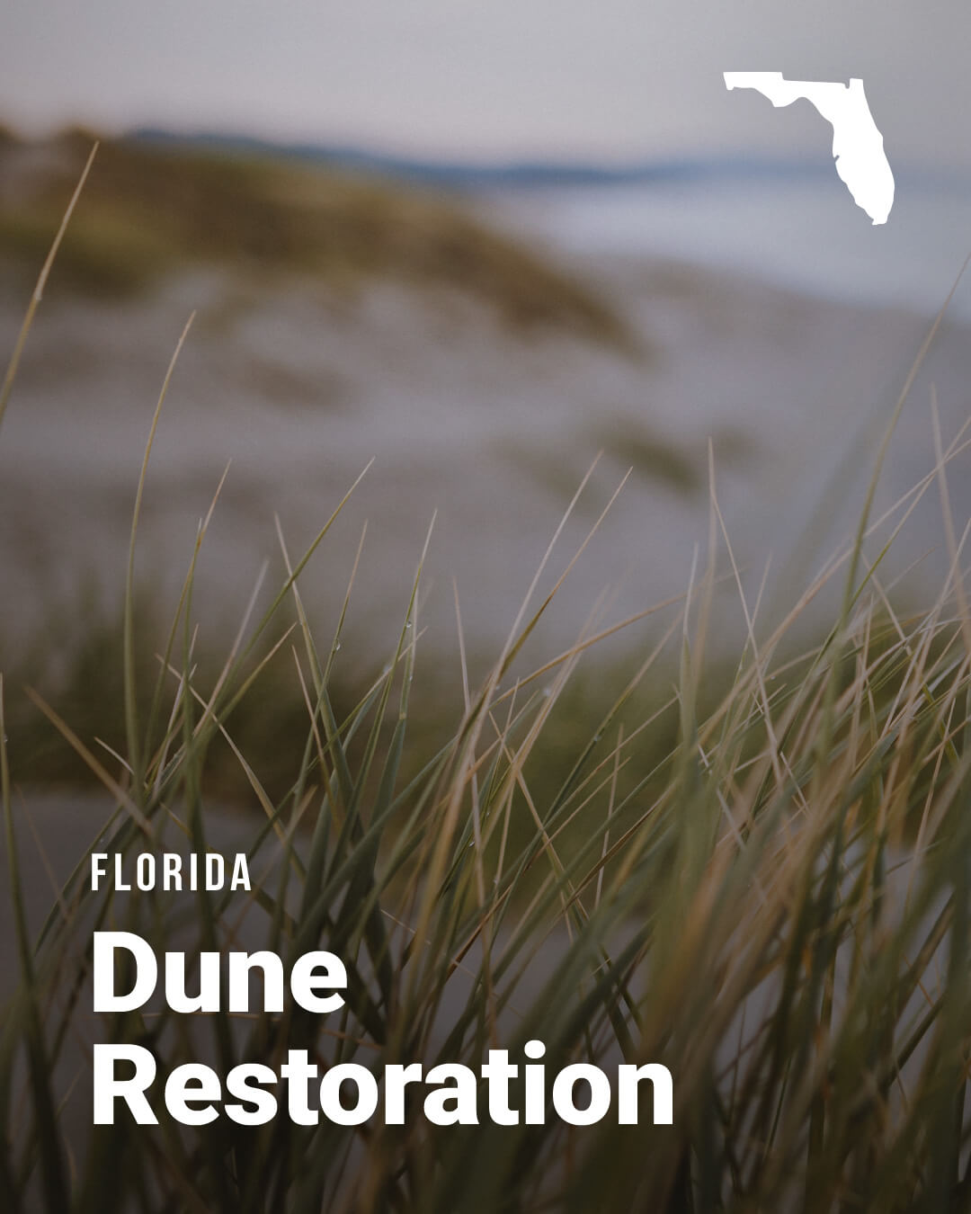 FL-Dune_NBS-Slider-2