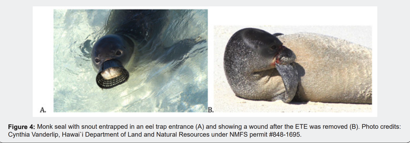 Screenshot 2026-04-03 at 2.29.36 PM