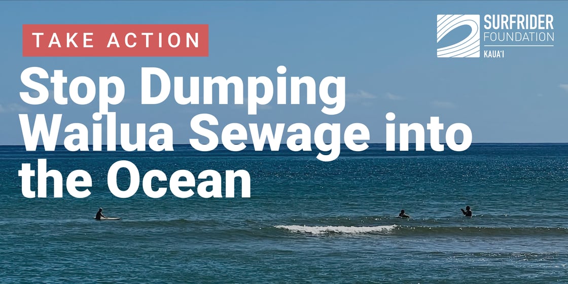 Take Action Cover (8)