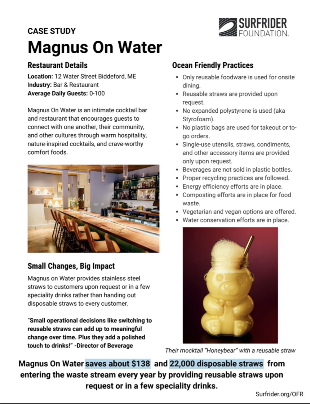 Magnus on Water Screenshot