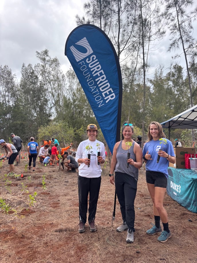 IMG_7624 2 Large (1)