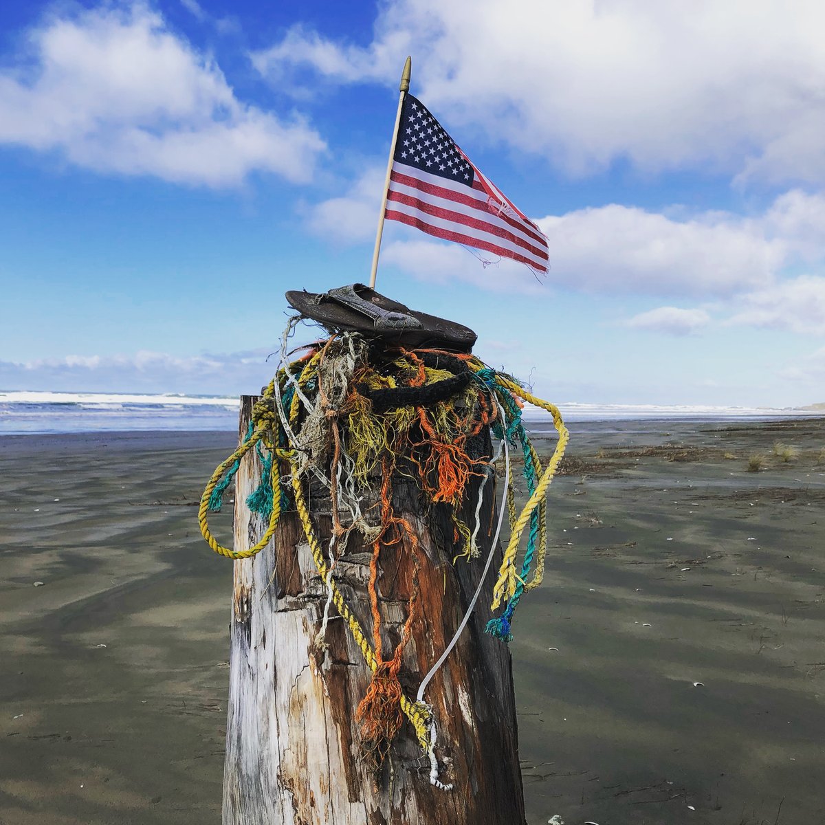 Photo of beach debris