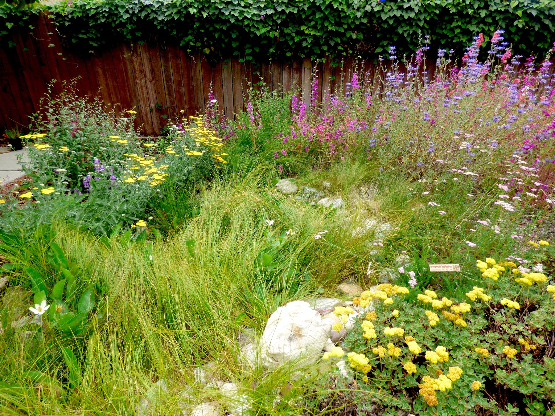 Ocean Friendly Gardens