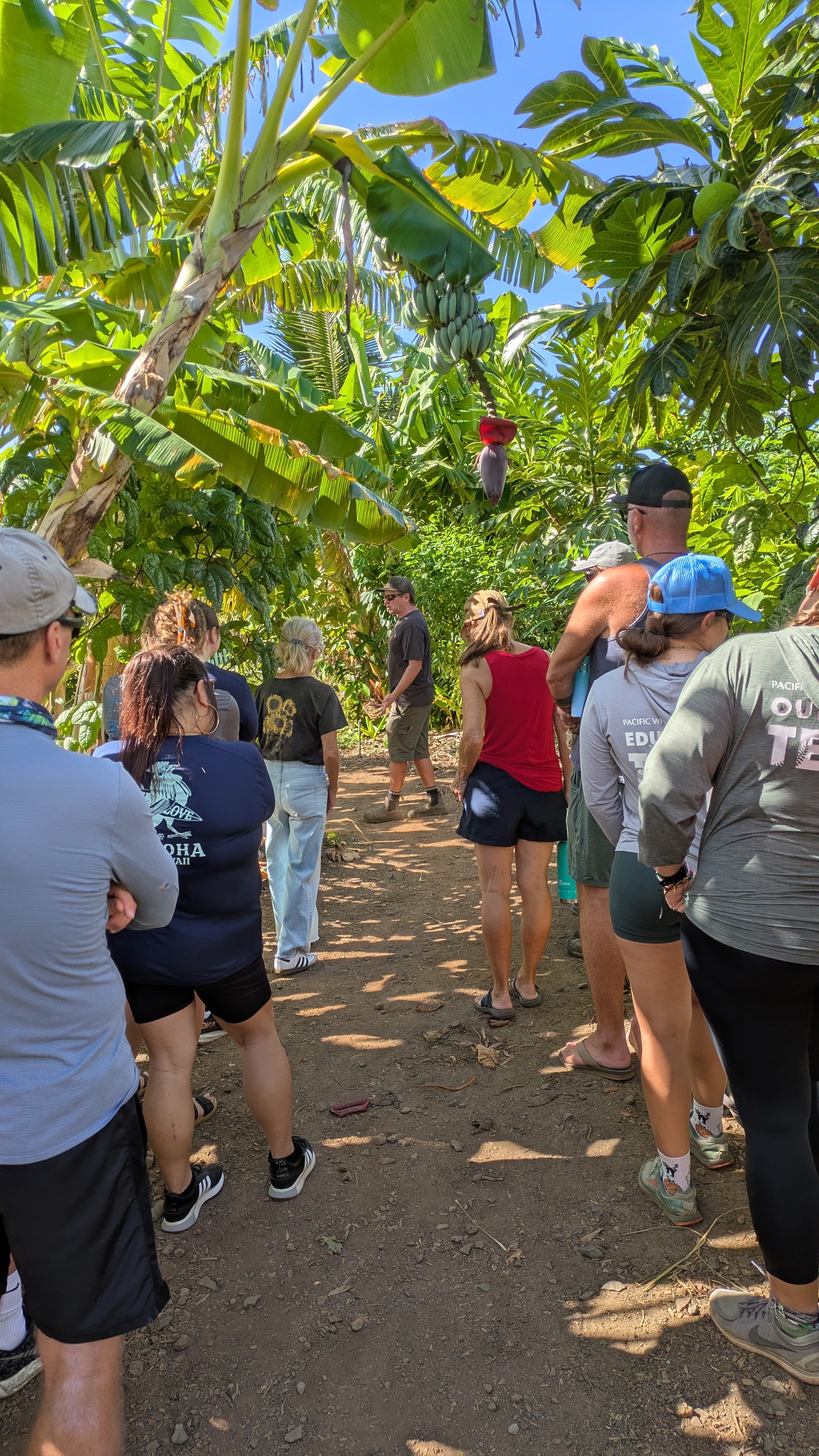 PXL_20251014_193124148