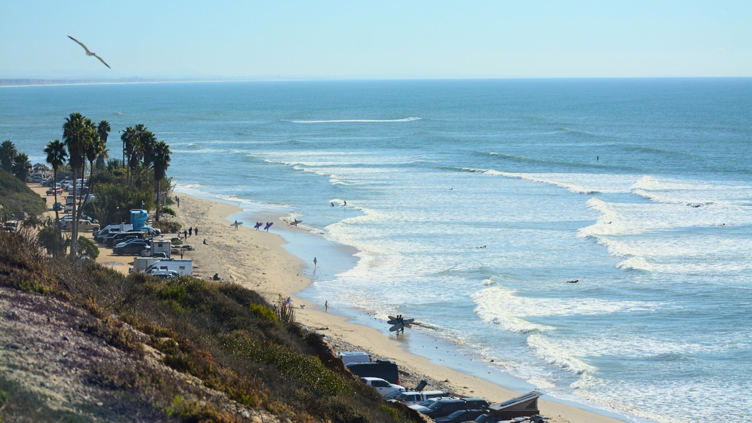 SanOnofre-bluffview-alexferron-2