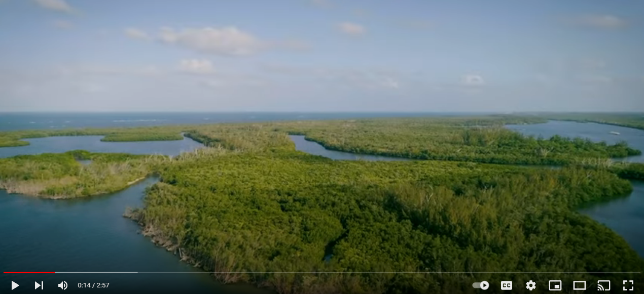 Screenshot 2023-10-30 121954