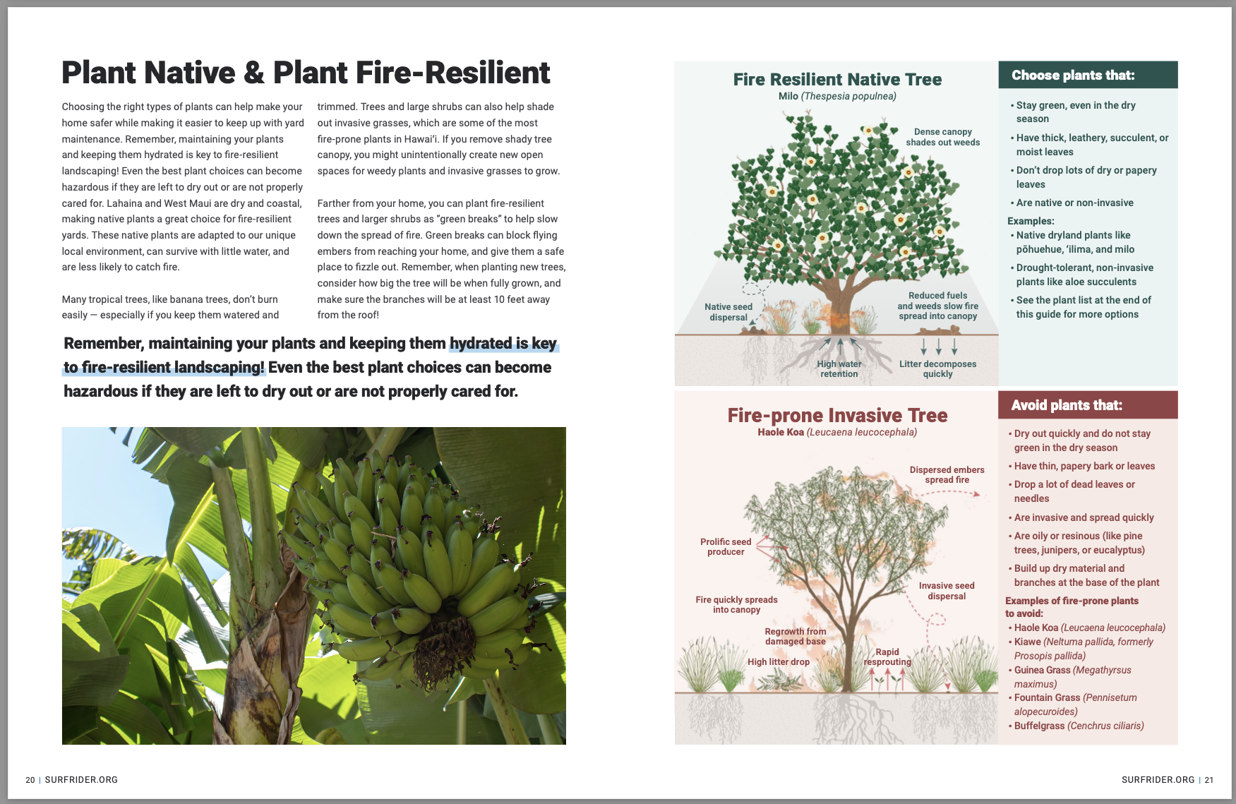 Screenshot 2025-12-03 at 11.25.15 AM