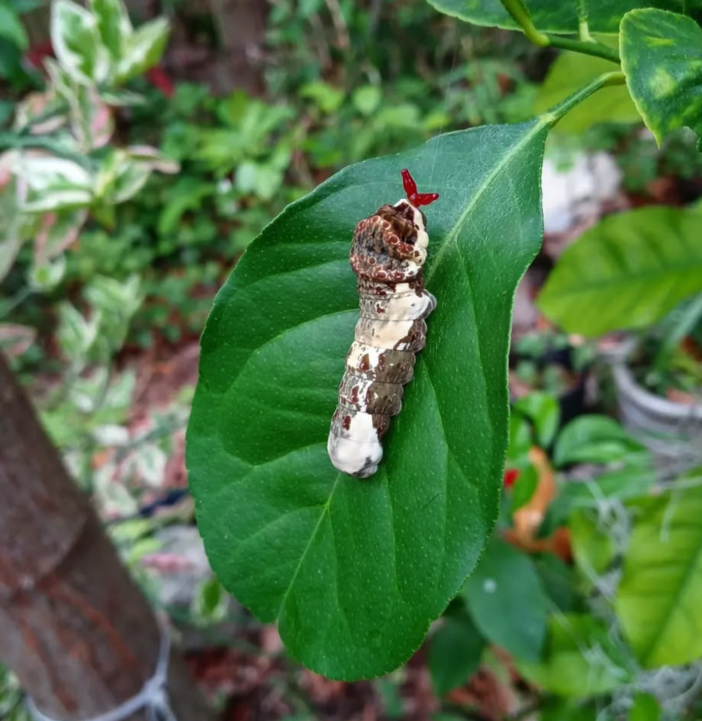 Screenshot 2025-12-16 at 11.53.17 AM