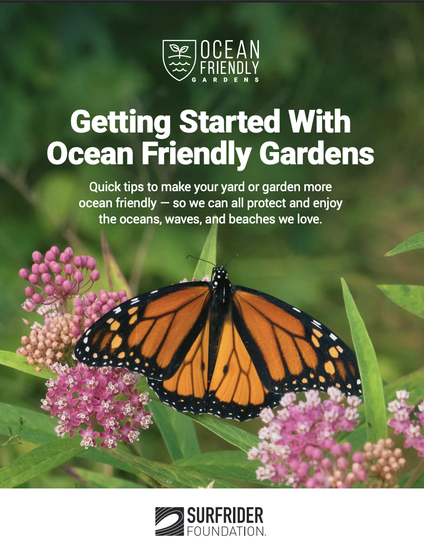 Screenshot 2025-12-19 at 2.04.46 PM