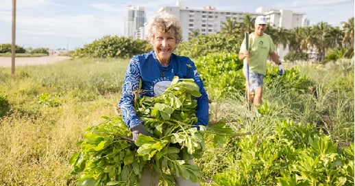 SurfriderMiami - Newsletter - Oct - News - 2