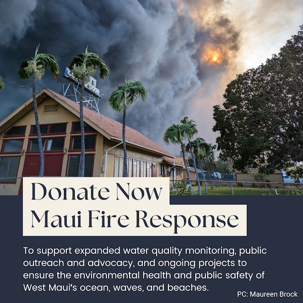 Image of a house with palm trees in the foreground and billowing smoke obscuring the sun just behind it