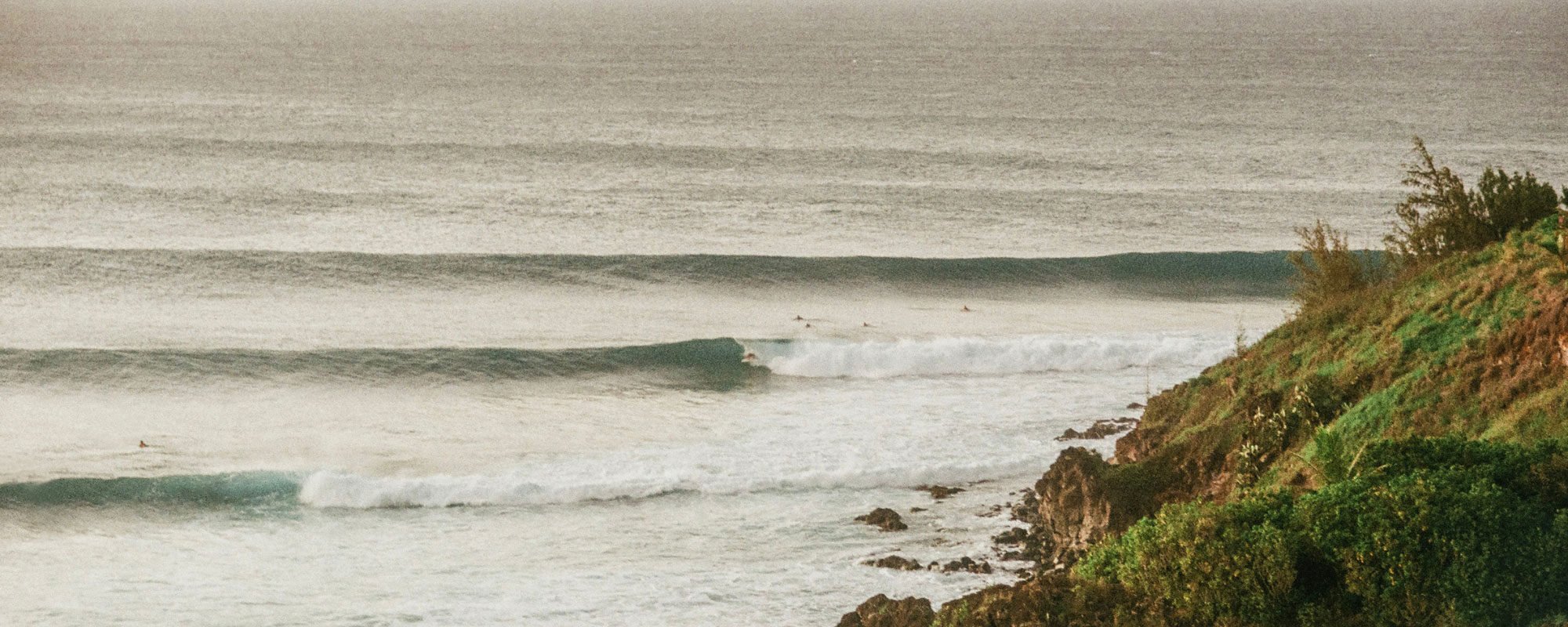 Righthand waves peeling at Honolua Bay with green shrubbery in the righthand side of the foreground.