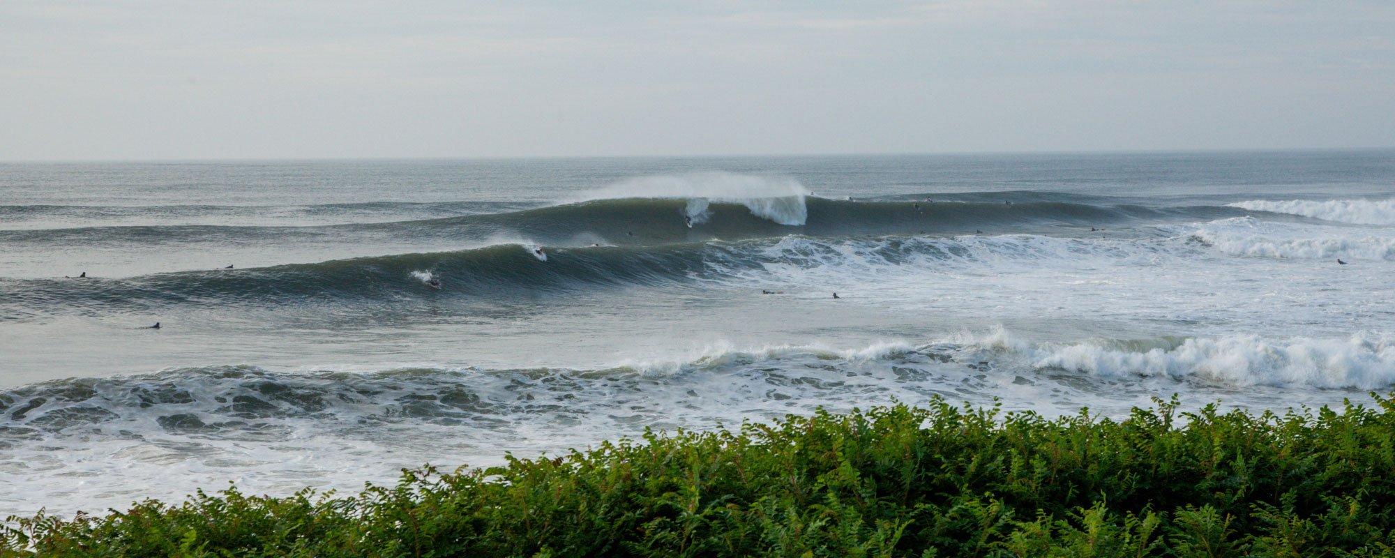 Big sets roll in at Montauk with some greenery in the foreground.