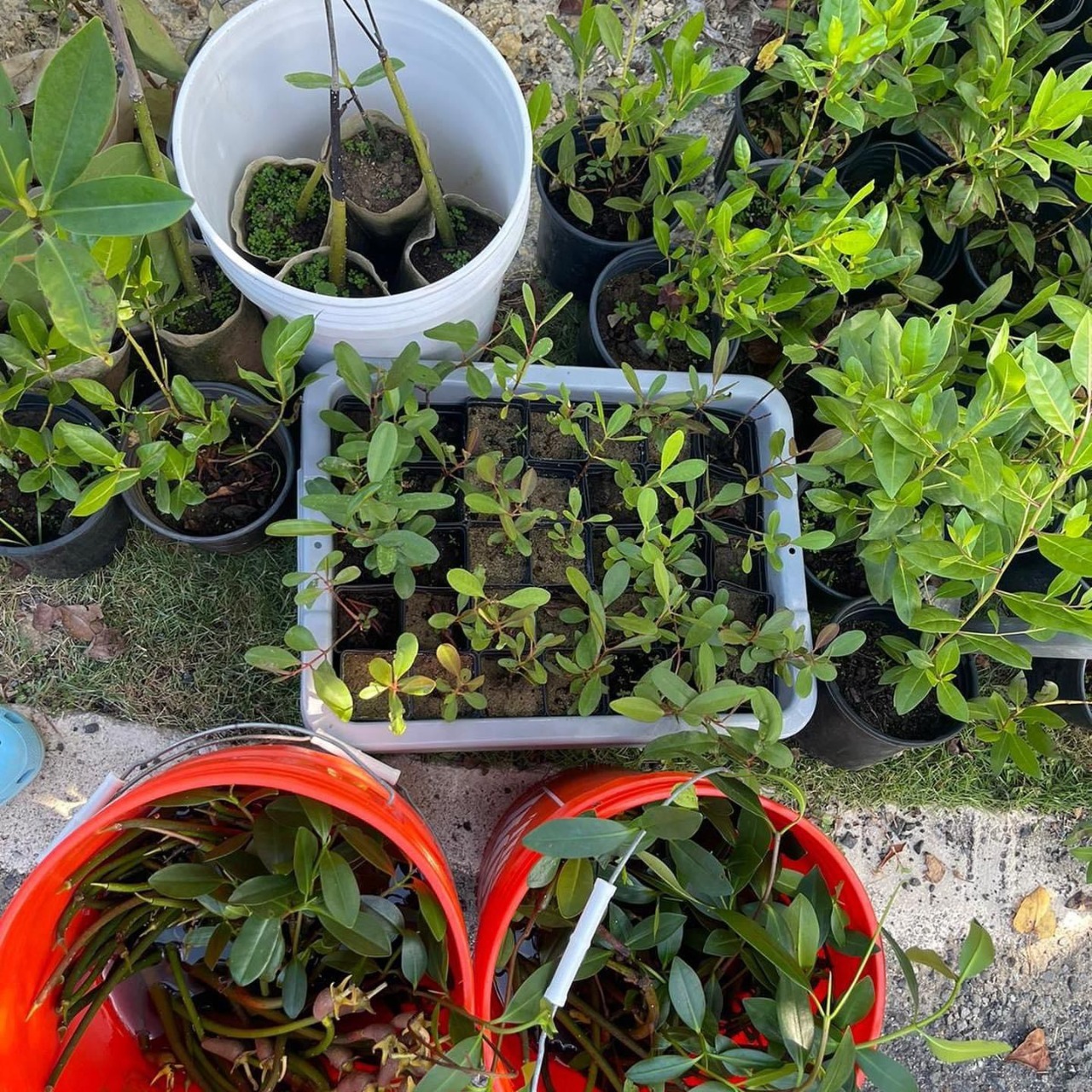 WhatsApp+Image+2024-07-26+at+17.05.05