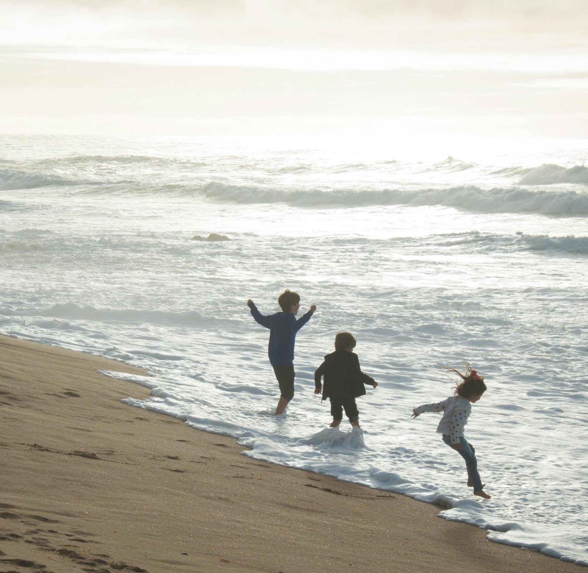 antonio-vivace-GO5ZvPjl2m0-unsplash_Crop-2