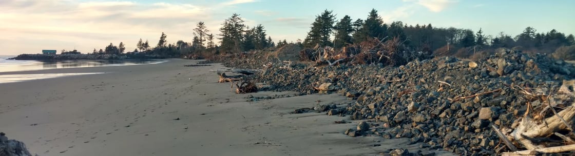 dyn_rev_lookingN_2-1