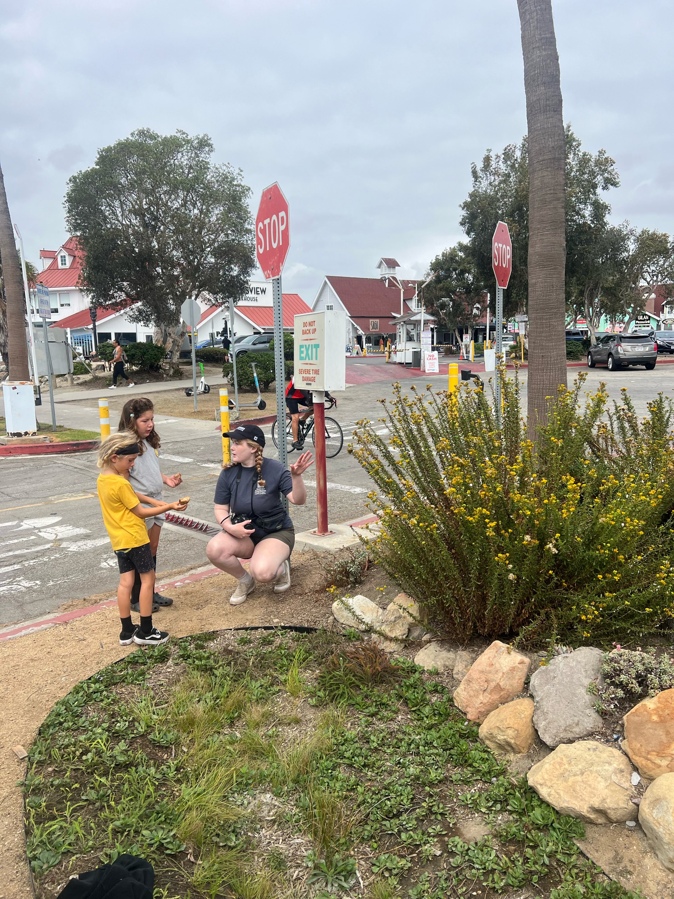 mural.daniKDiphone.8