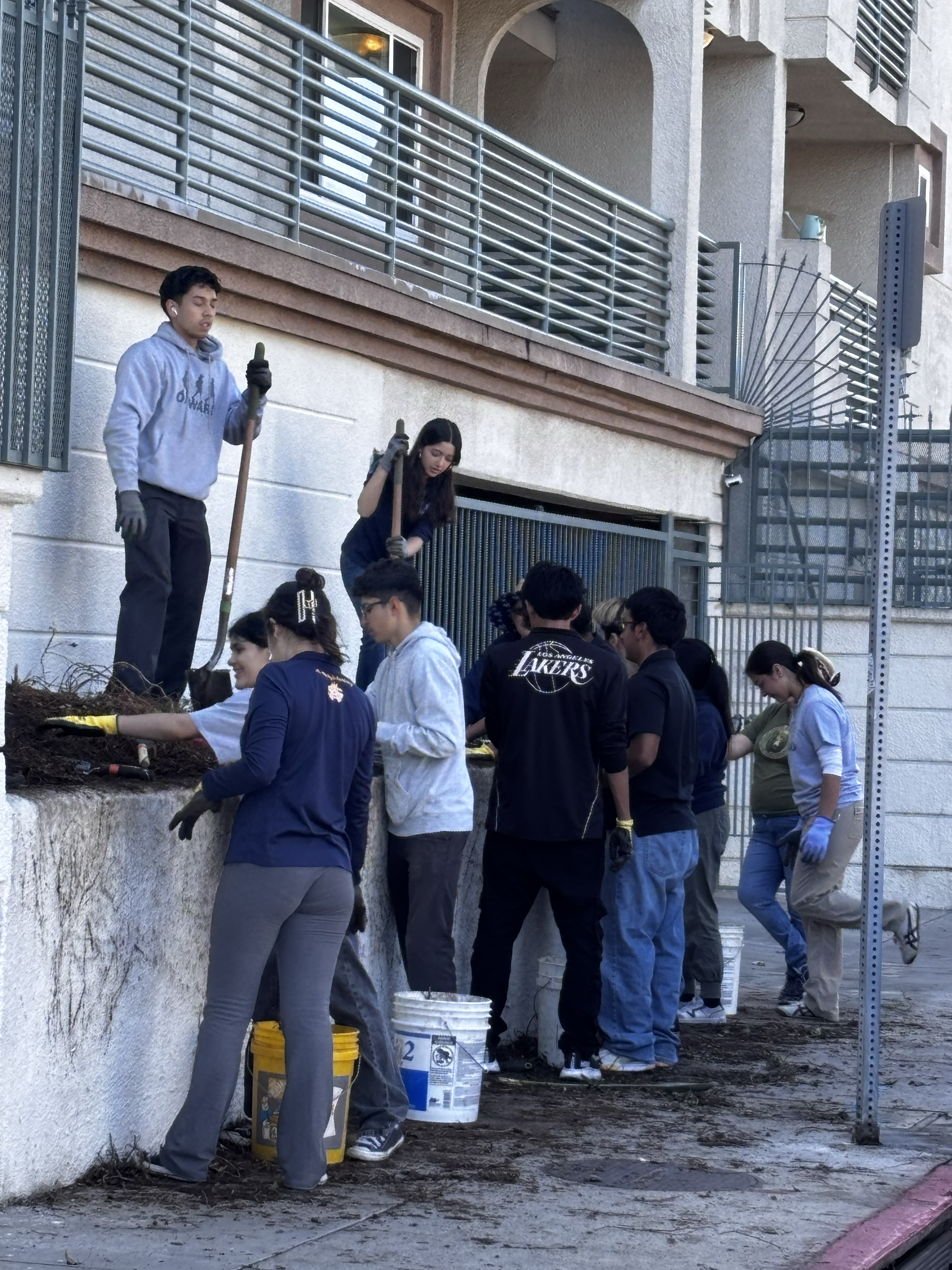 palmsinstall.8mar25.22-2