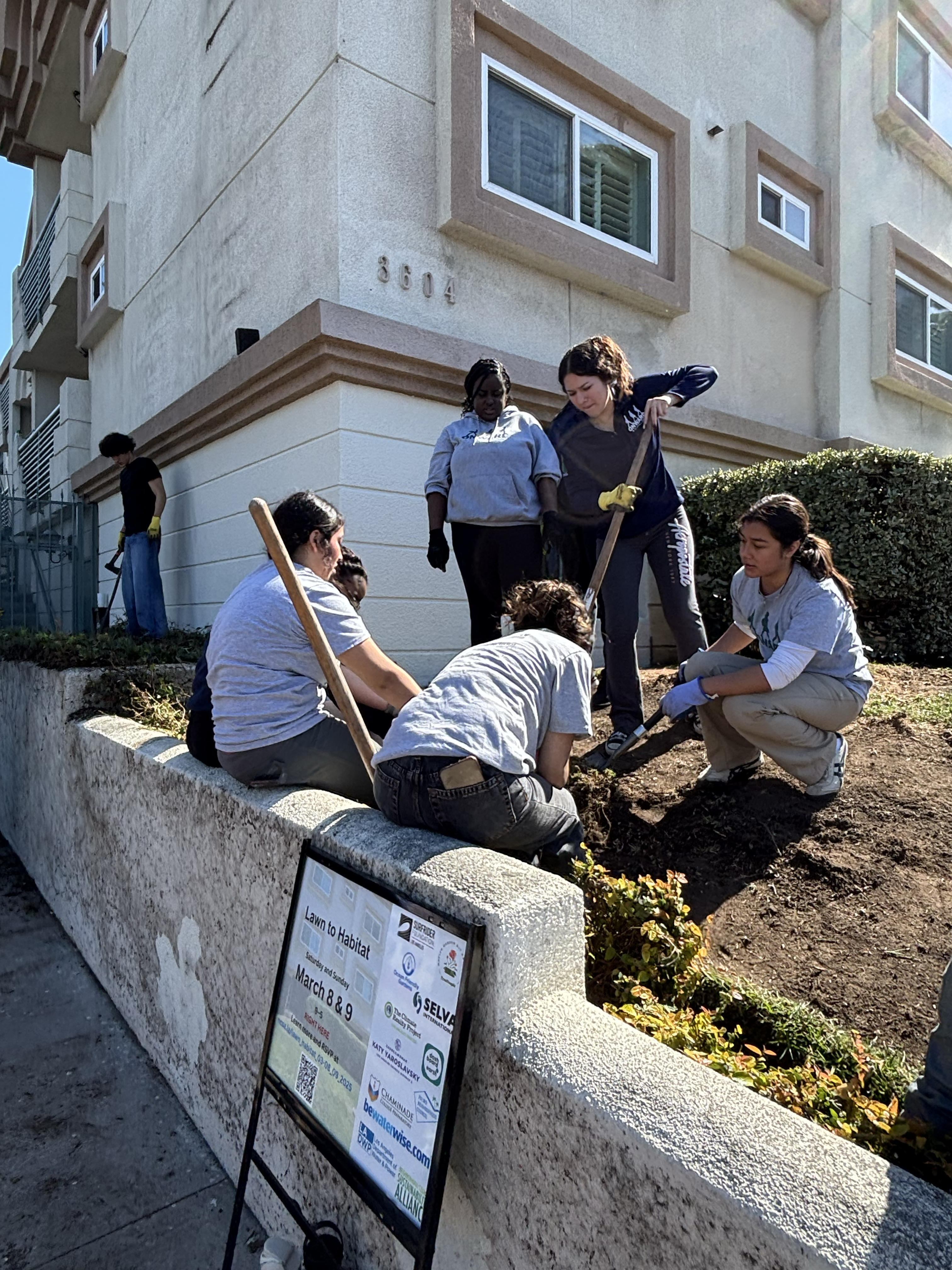 palmsinstall.8mar25.7-2