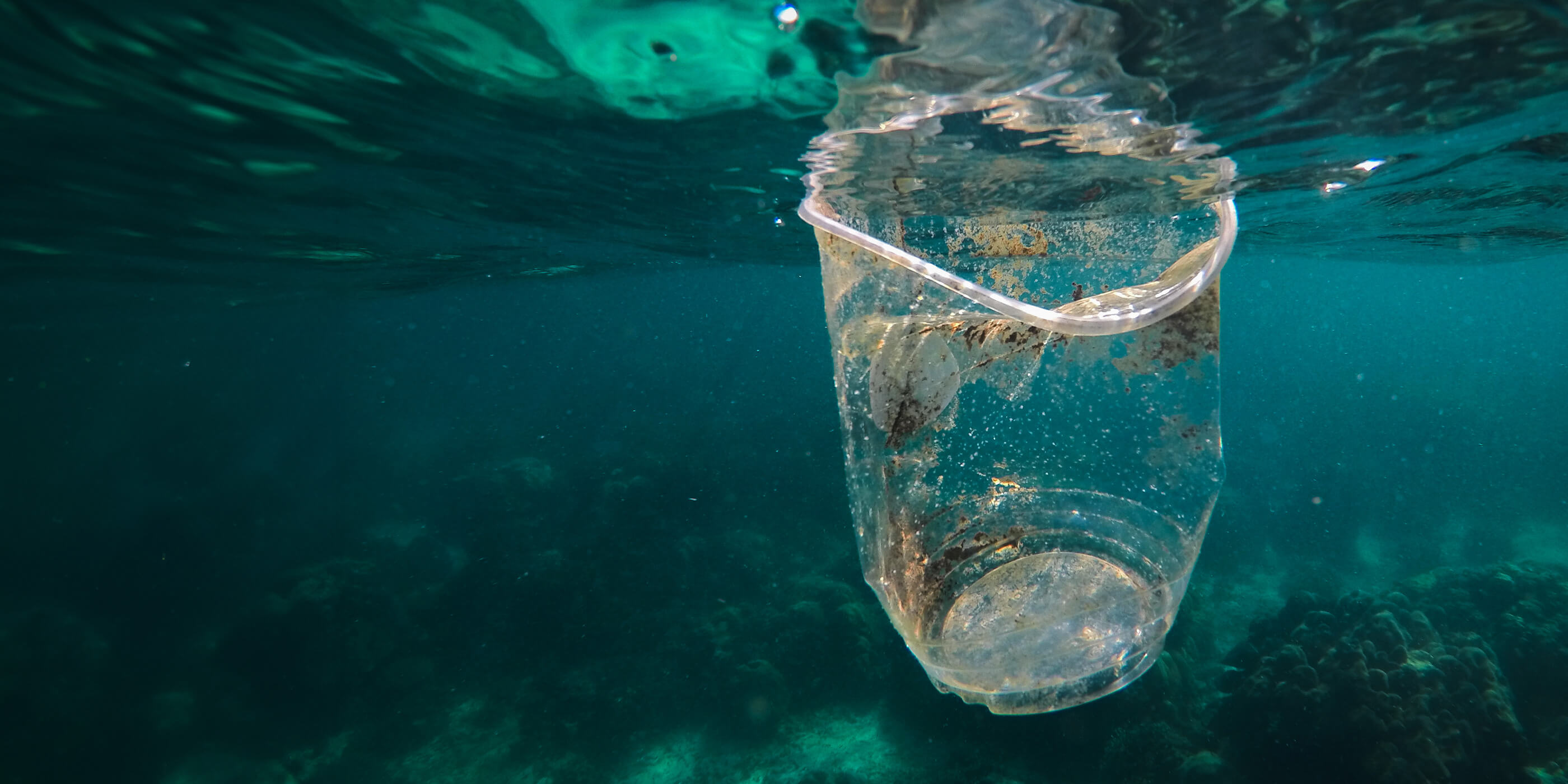 plastic-impacts-header