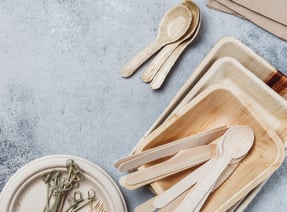 shutterstock_1779502469 cropped