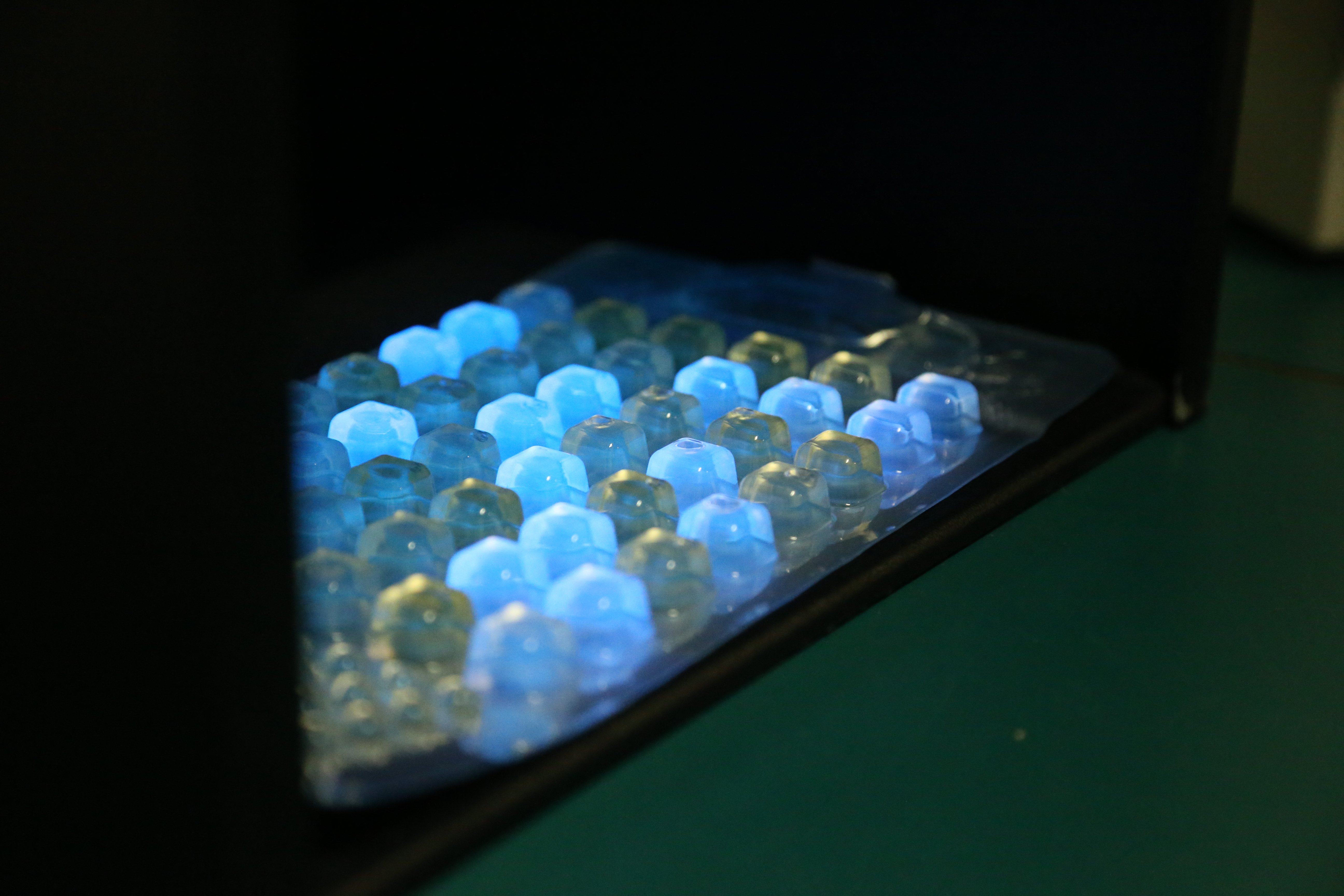 Water samples under UV light. 