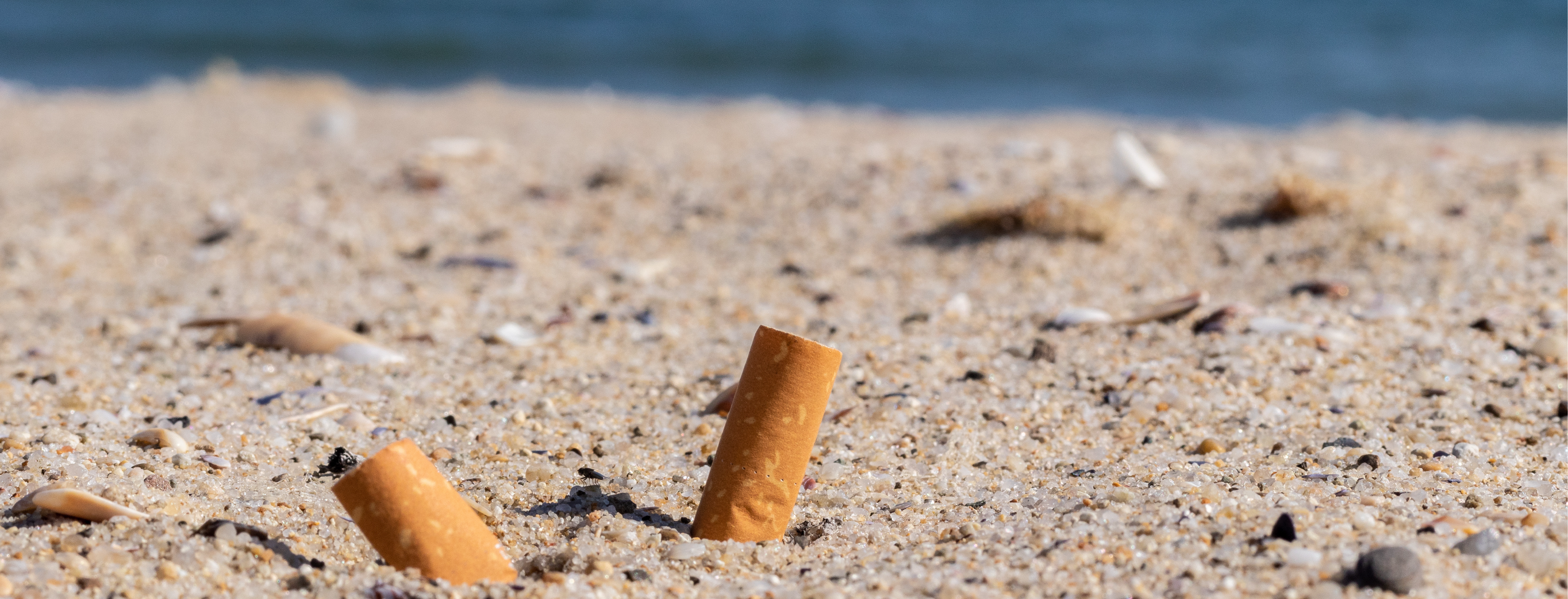 Ban The Butt Santa Cruz