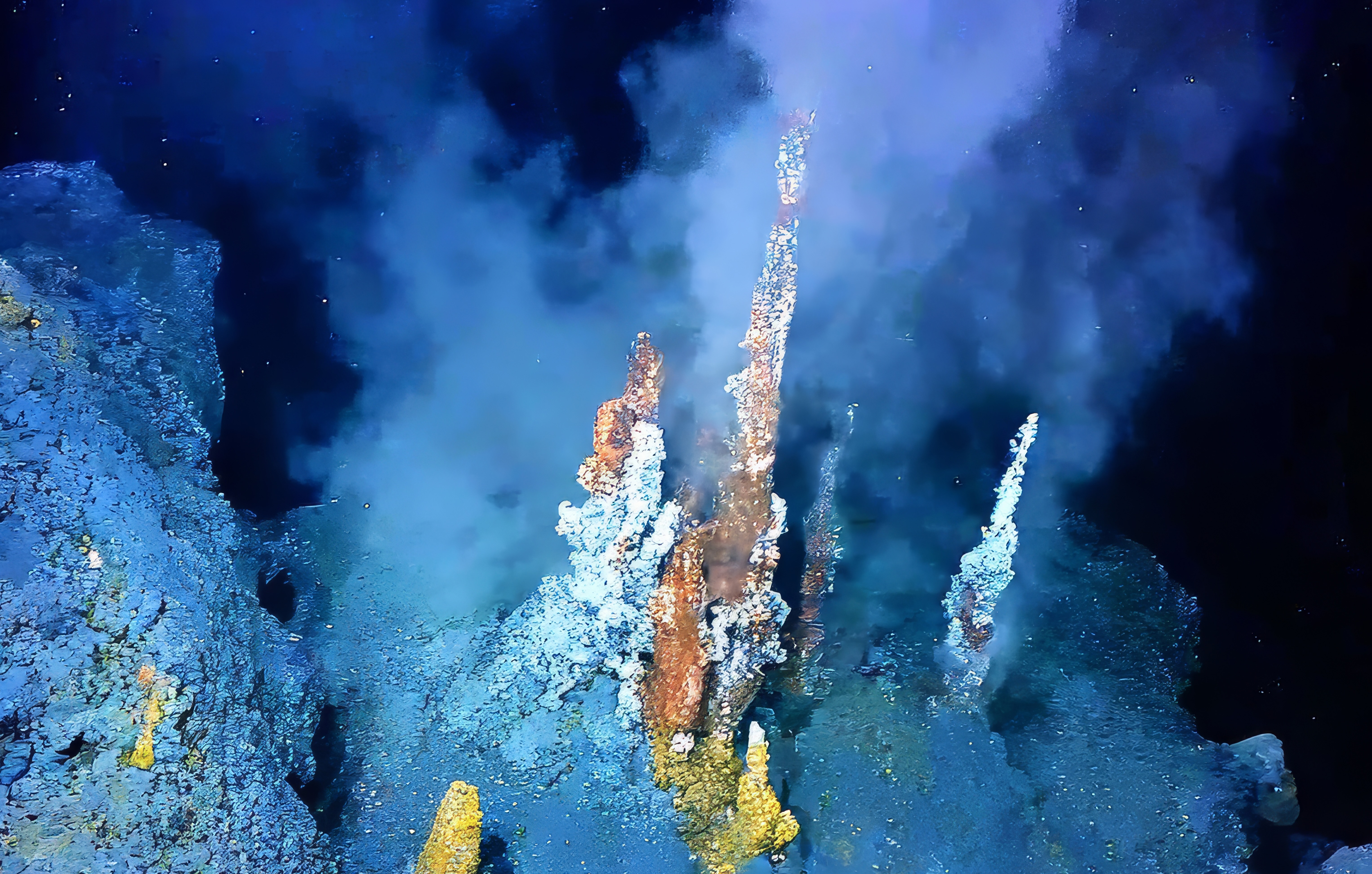 Stop Harmful Seabed Mining in U.S. and Global Waters