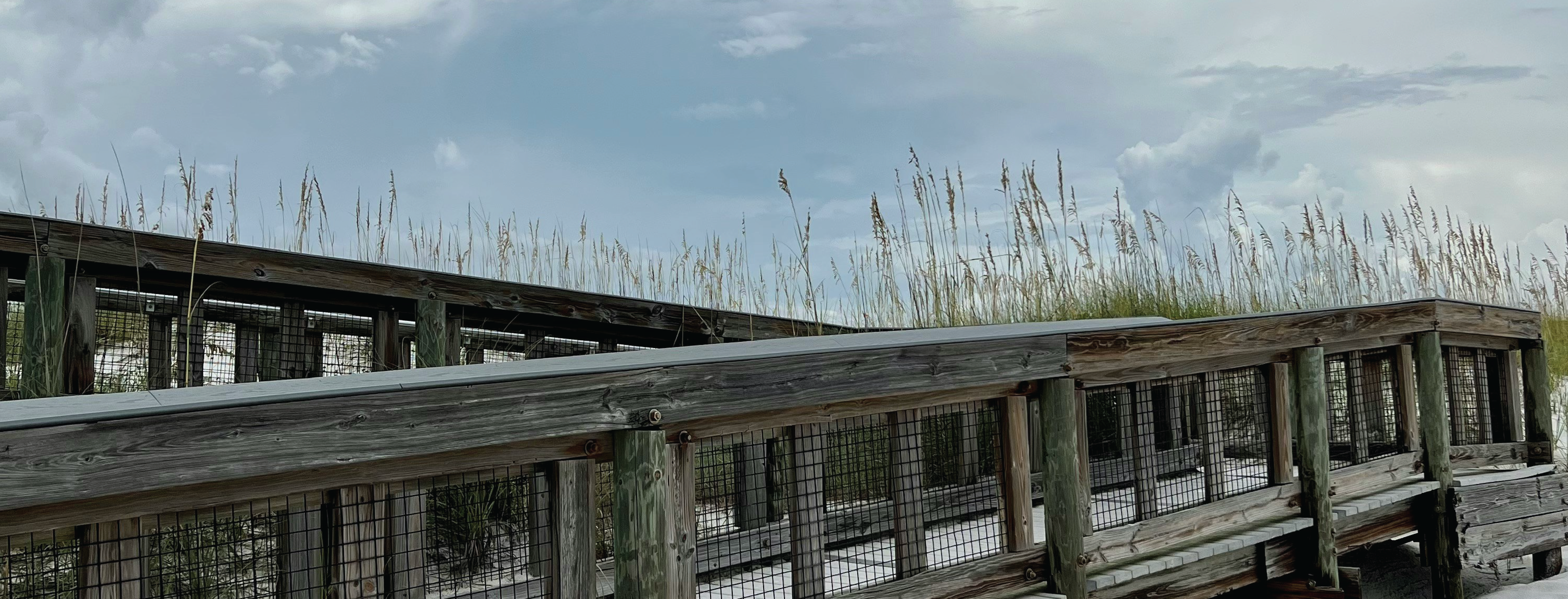 Save Access At Lori Wilson Park