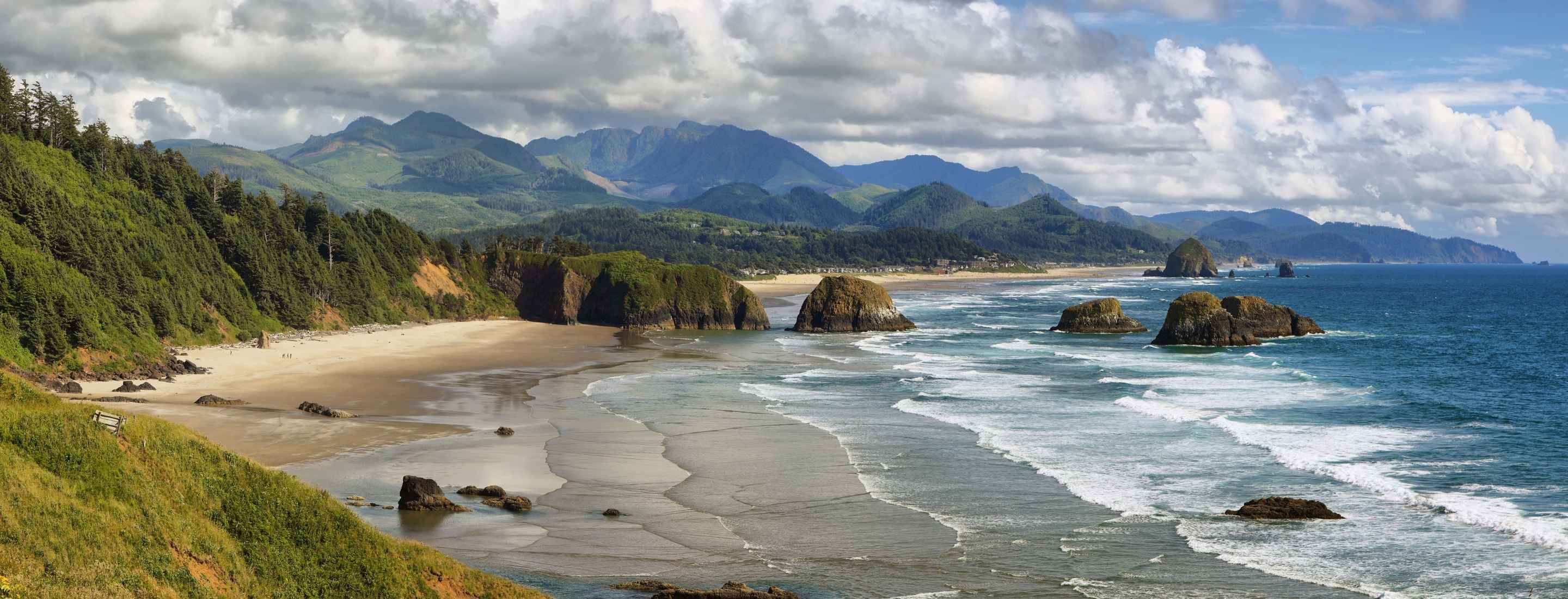 View of Cannon Beach with blue skies and green foliage.