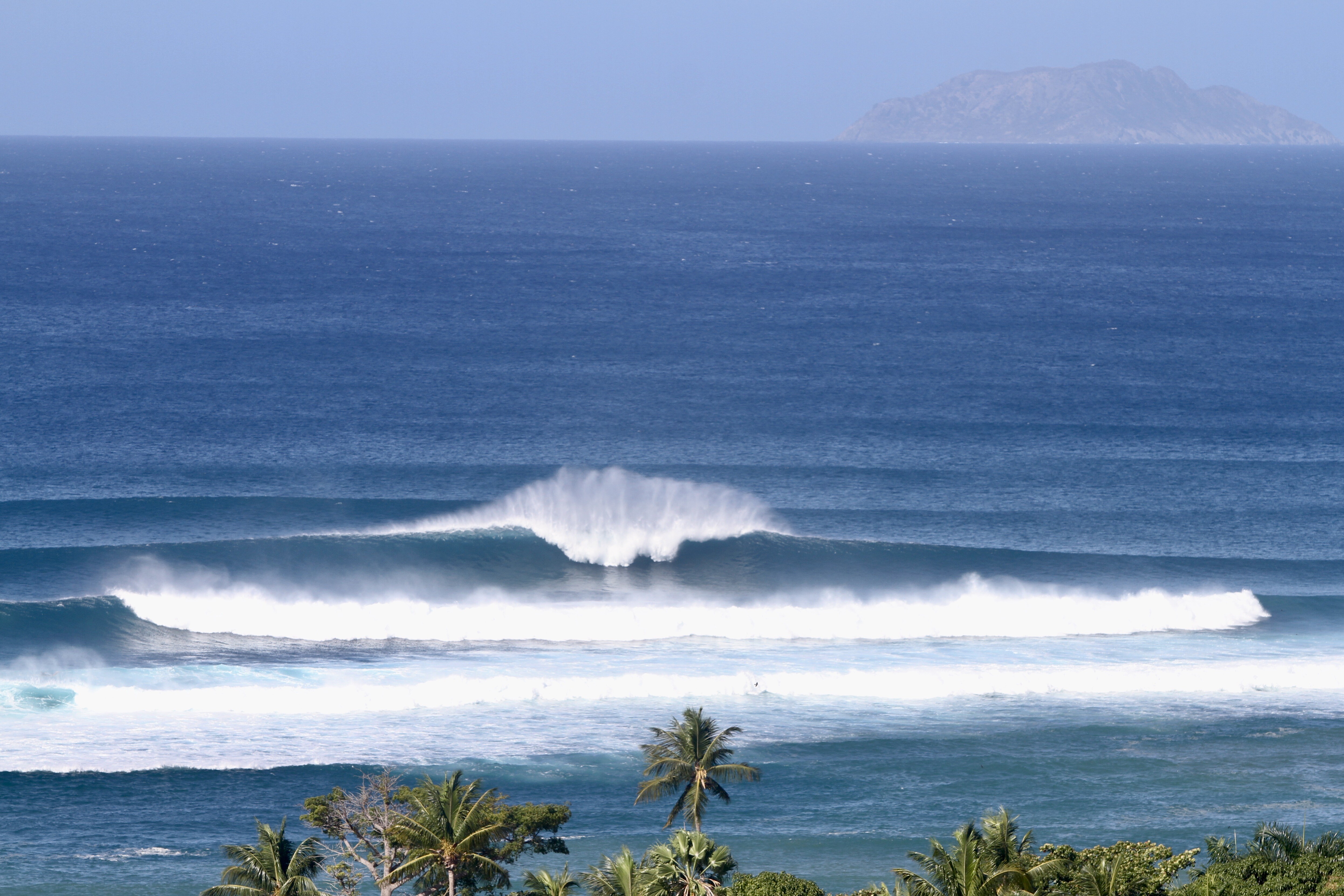 Rachel Tanner Photo 2