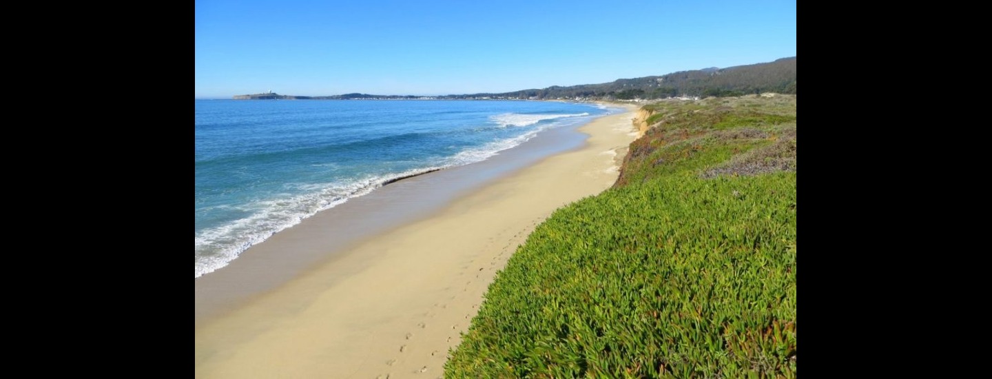 Protect Dunes Beach from development.