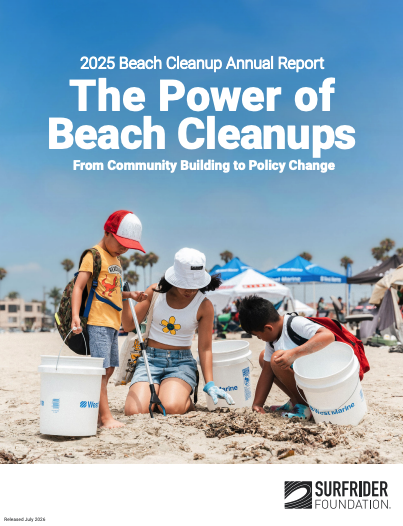 2025 Cleanup Report Cover