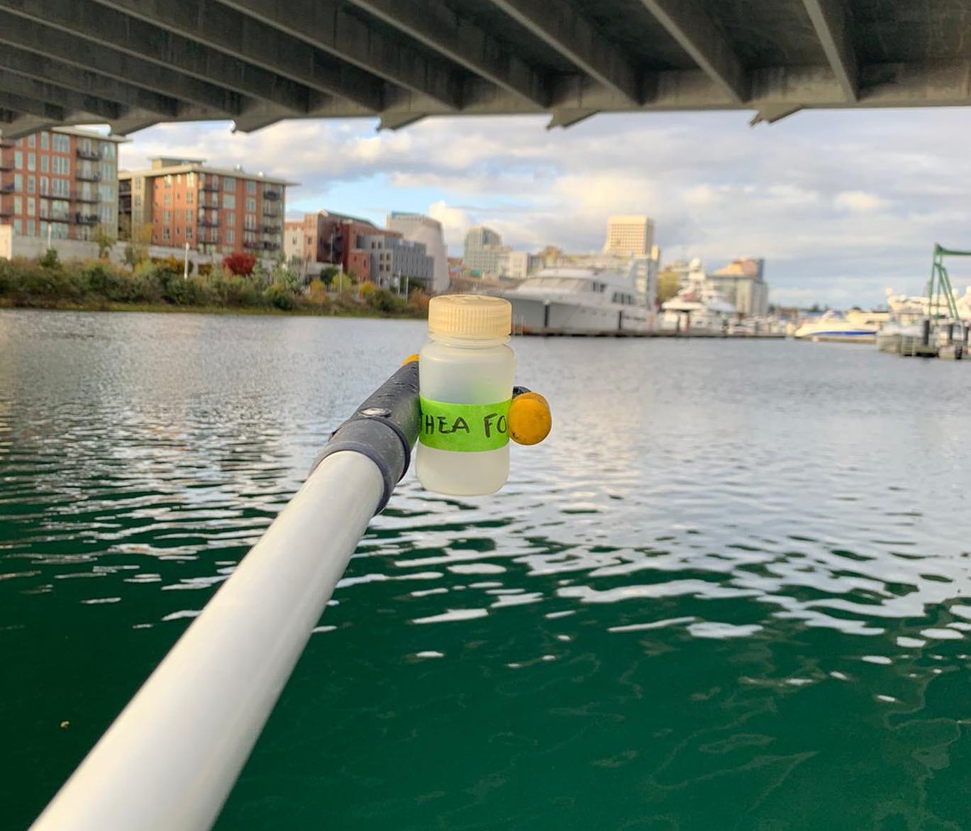 A water sample taken at Thea Foss using a sampling pole. 