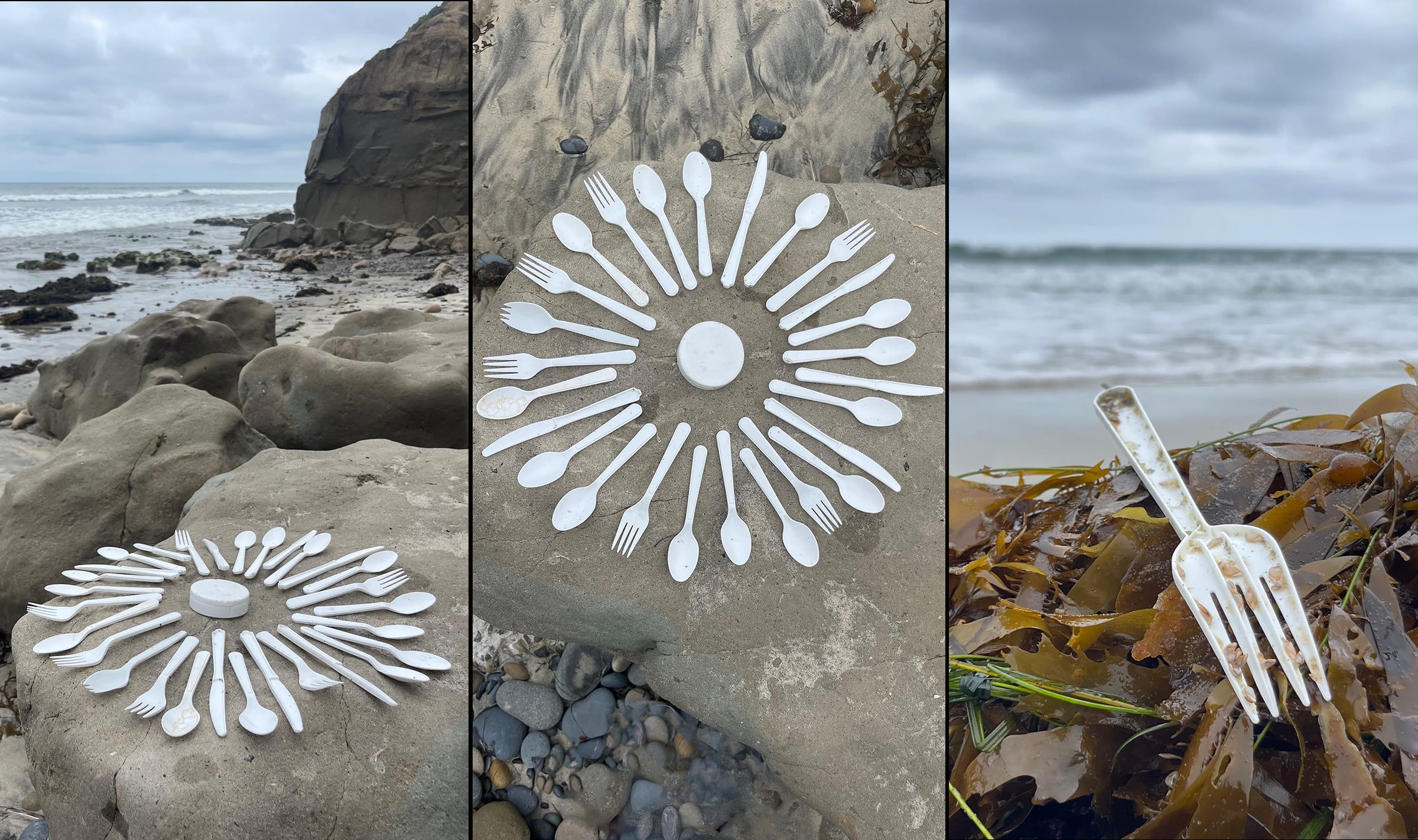 Over 30 pieces of cutlery were picked up off the beach in Carlsbad, CA on November 5, 2025. 