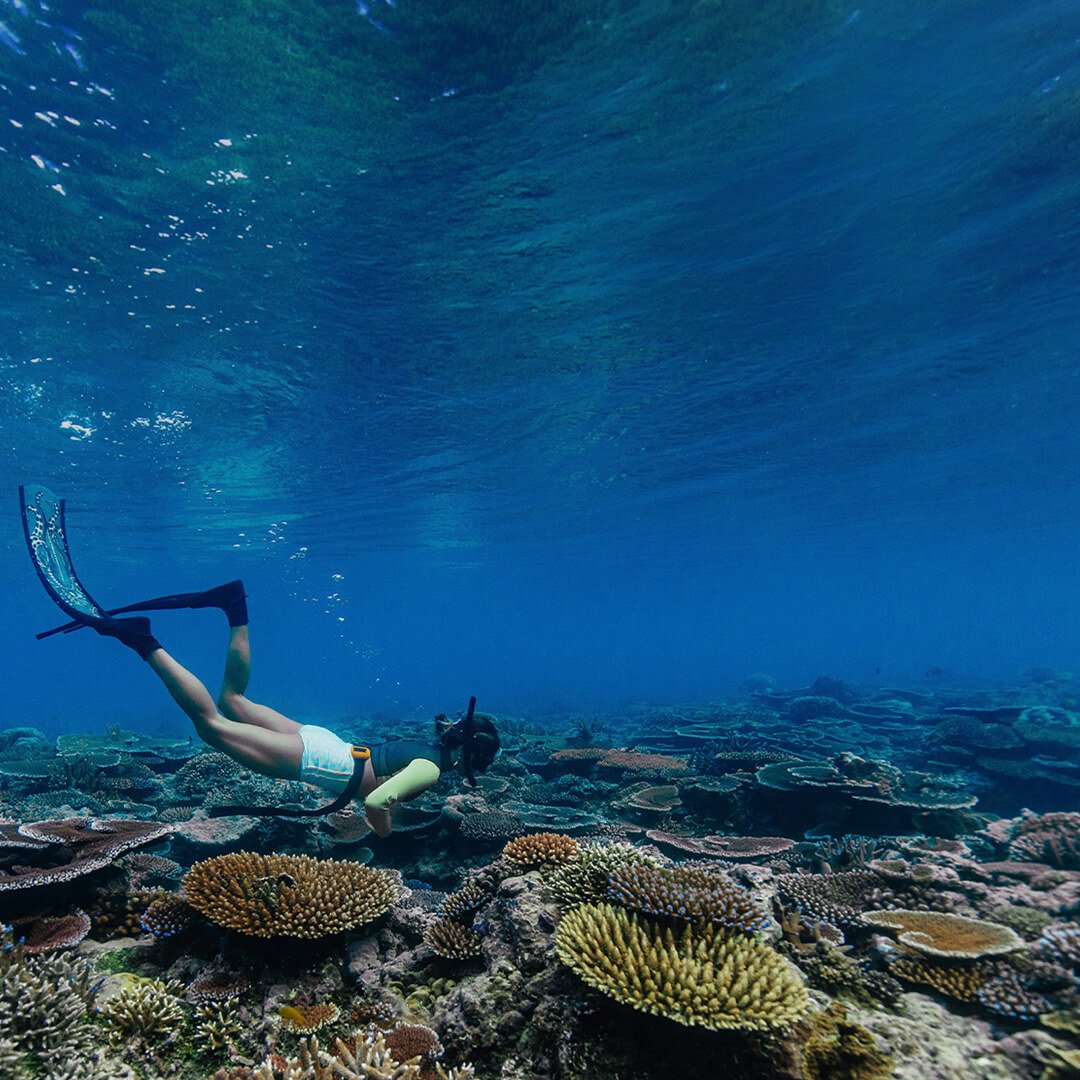 reef-friendly-sunscreen-CTA_mobile2